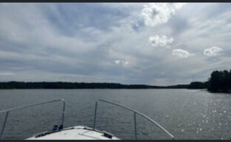 Flying Albatross 871-kuva-4